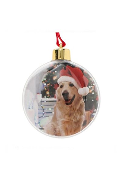 OEM Glob foto transparent, ornament de brad de Crăciun, 9 cm