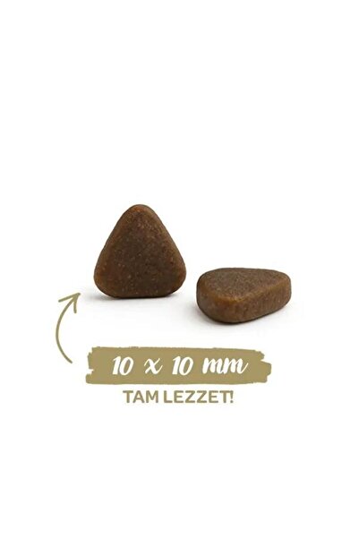 Sanabelle Hair Skin Sağlıklı Tüy Gelişimi İçin Yetişkin Kedi Maması 8 kg