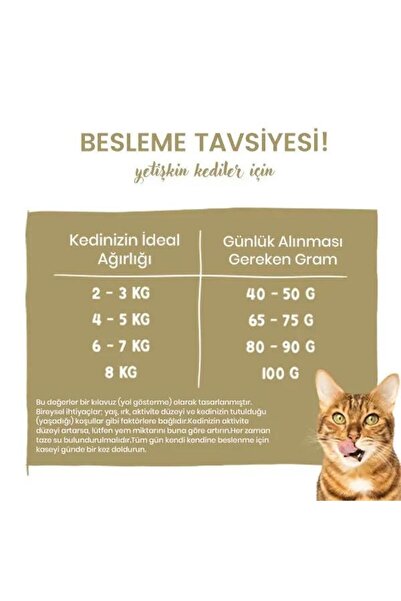 Sanabelle Hair Skin Sağlıklı Tüy Gelişimi İçin Yetişkin Kedi Maması 8 kg