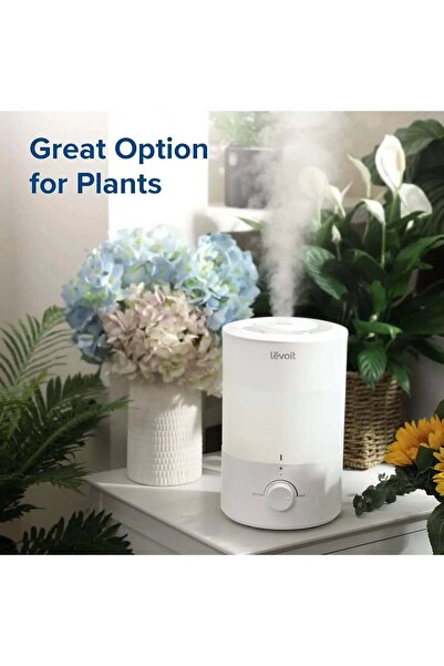 Levoit 3L Humidifier for Rooms