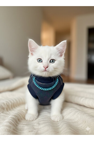 Winnie The Pet Kedi Kıyafeti Hologramlı Simli Kolye Detaylı Swet