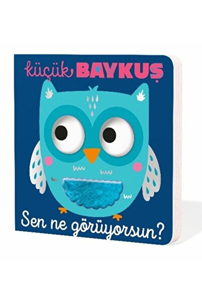 İndigo Kitap Küçük Baykuş Sen Ne Görüyorsun?