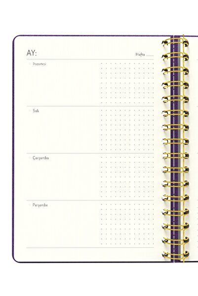 Meli Melek Melimelek Planner Purple (Paperback) - Ceyda Düvenci