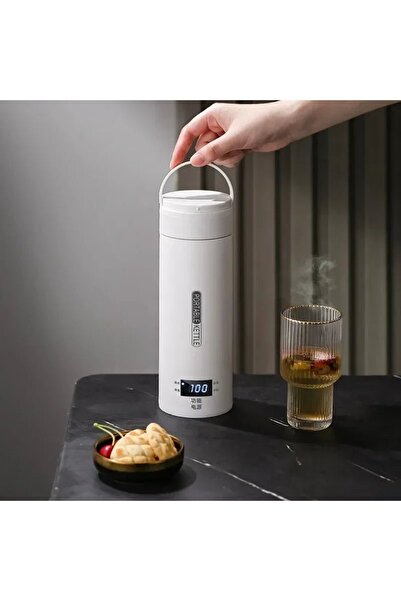 portable Electric Kettle for Heating Water and Tea