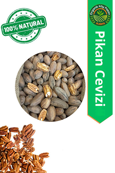 alanya organik köy pazarı 1 Kg İri Boy Pikan Cevizi