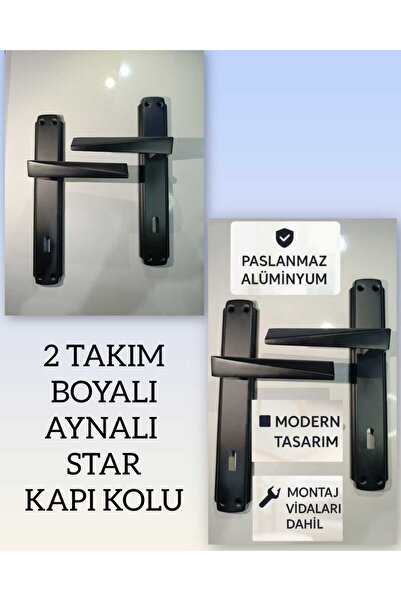 Dündar Metal STAR - 2 TAKIM BOYALI AYNALI STAR KAPI KOLU SAĞ\SOL