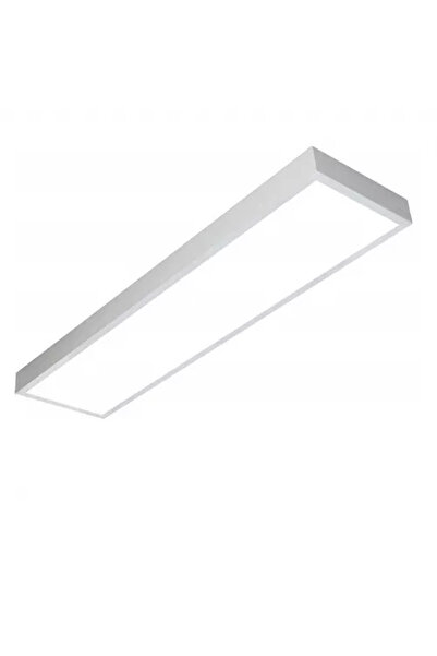 LEDIGANT LED ceiling light 30x120cm, 60W, 6500k, white, surface-mounted