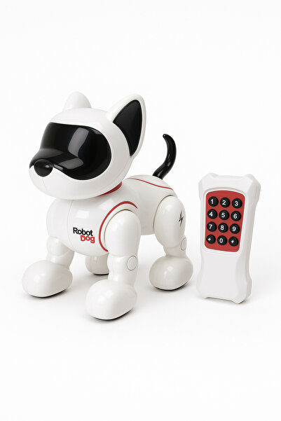 OEM Robot Dog with Remote Control – Smart Interactive Toy for Kids, Movement, Sounds &