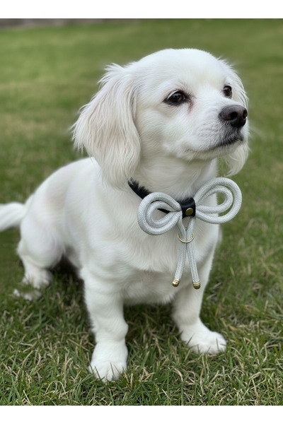 balkonda ربطة عنق للكلاب مطلية بالفضة اللامعة تُعلّق على طوق الكلب، مناسبة للسلالات الصغيرة والمتوسطة
