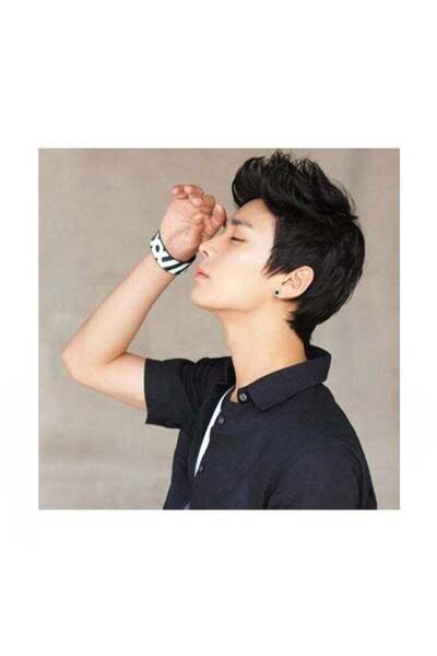 Generic Short Hair Style Fluffy Wig Black