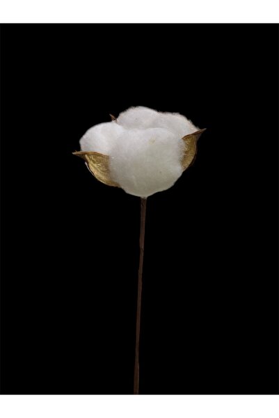 GFSMORE Decorative 10-Piece Cotton Flower