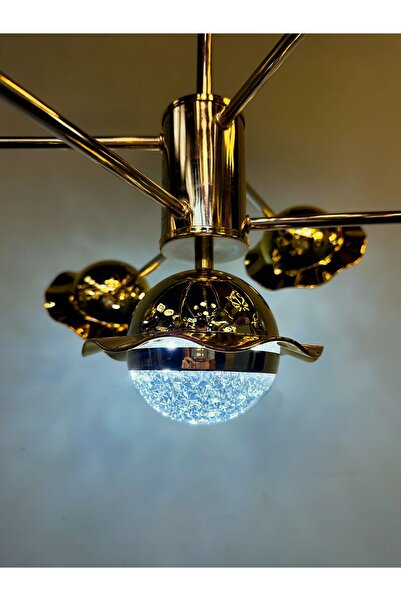 Bohem Aydınlatma Bohem Avize Solona 6+1 Gold Papatya başlık 3 renk Led Beyaz/...