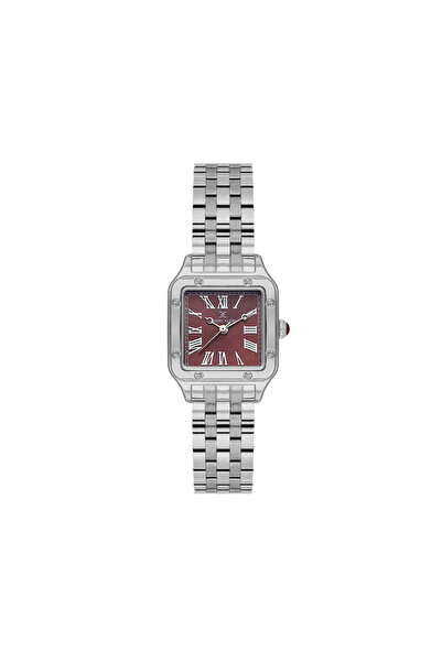 Daniel Klein Premium Silver Stainless Steel Watch for Women DK.1.14104-2