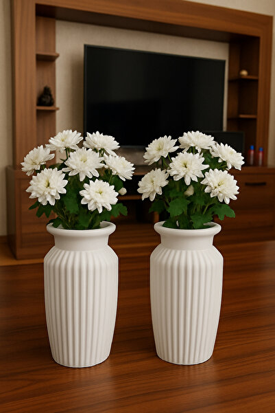 PAPİSAHOME طقم مكون من مزهريةين من السيراميك الأبيض للزينة - تصميم عصري مخطط،...