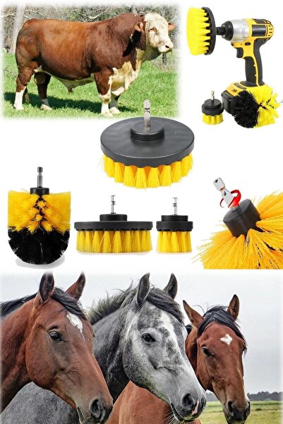 Genel Markalar At & Inek Büyük Baş Hayvanlar Için Kuruyan Tezek Kir Çamur Çık...