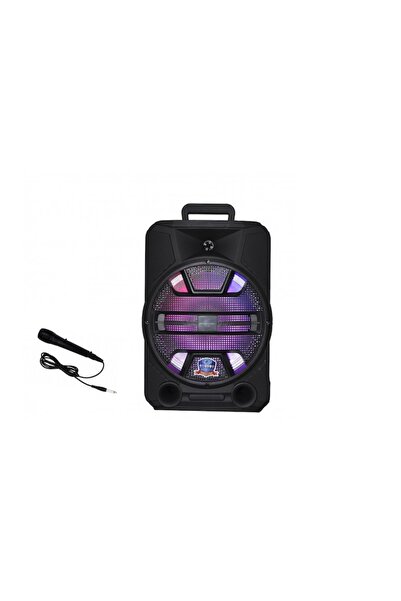 OEM Φορητό ηχείο 12", 140W PMPO, USB, ασύρματο μικρόφωνο