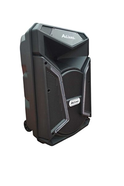 Ailiang Portable Speaker, MP3, TF/USB, Bluetooth, FM Radio, Remote Control, Wireless Microphone, 100W Power