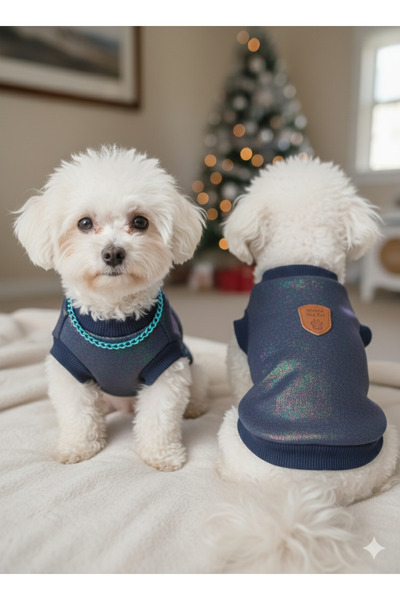 Winnie The Pet ملابس للكلاب مع سلسلة ذهبية لامعة بتفاصيل هولوغرام SWET