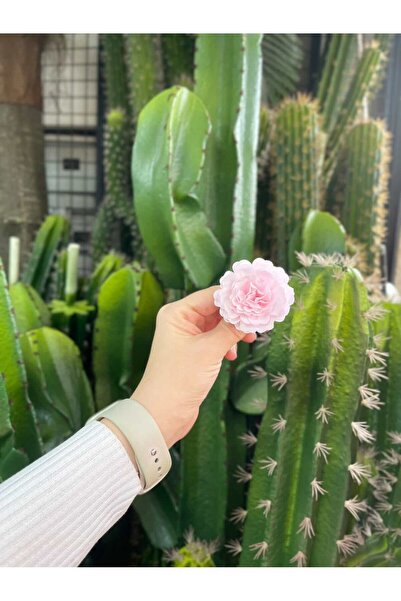 KOZALILAR Yapay Çiçek 10'lu Mini Boy Tek Baş Katmerli Gül TATLI PEMBE (Çap:5,...