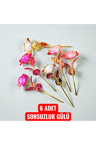 İNCİ sepette Famous Infinity Rose 6-Piece Set