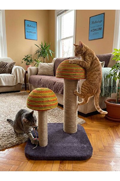 Shiny design KEDİ TIRMALAMA