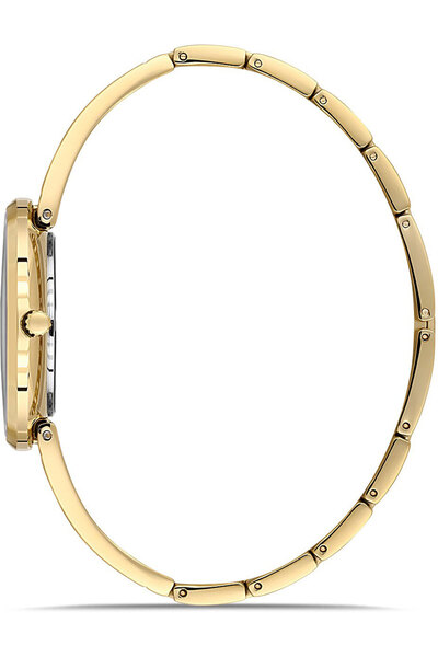 Dice Kayek Dk.1.Ag1384.03