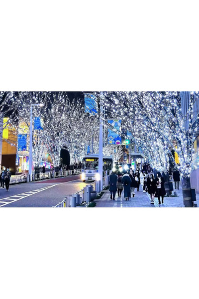 OEM Professional LED Installation 100 m with 450 LEDs per Roll – For Holiday Decoration