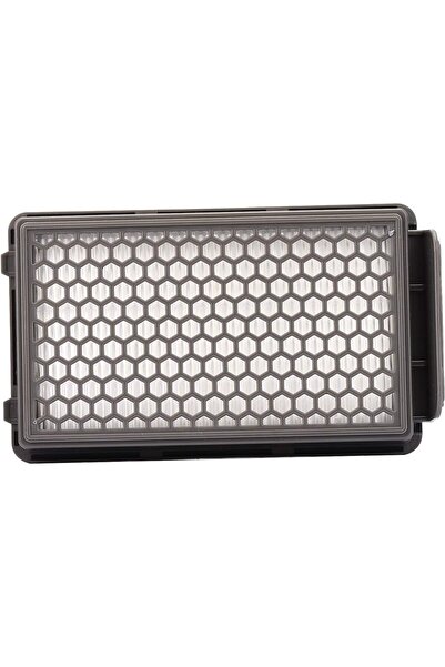 OEM Rowenta/Moulinex/Tefal Compact Power Cyclonic HEPA Filter - Replacement Accessory ZR005901 (1 pc)