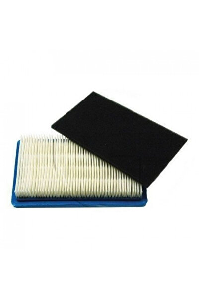 TAIWAN Φίλτρο αέρα για MTD 1 P 61, 1 P 65, ThorX 35/45/55 (συμπερ. προφίλτρου)