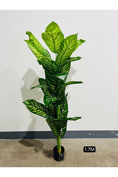 Modern shop شجرة دفنباخية صناعية. مميزة بطول 1.7 متر للمكاتب والغرف للديكور والزينة