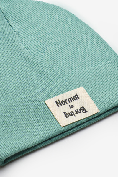 Le Mabelle Mint Normal Is Boring Mottolu Children's Beanie