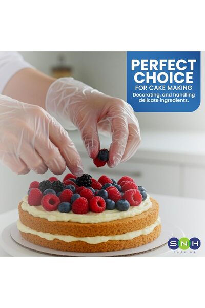 SNH Packing Disposable Vinyl Gloves, 100 Per Pack, Powder-Free, Latex-Free