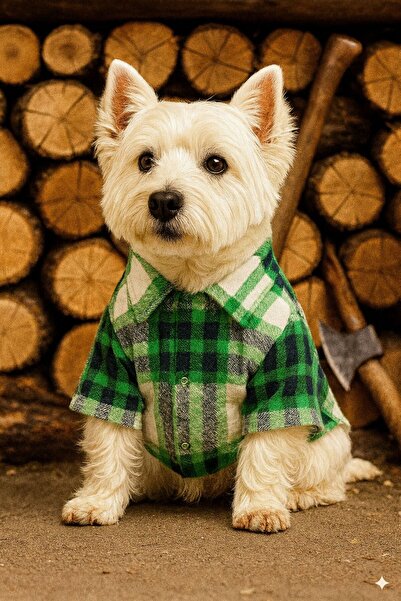 DOGİ&DOG Small Breed Green Lumberjack Shirt Dog Outfit (1-10kg)