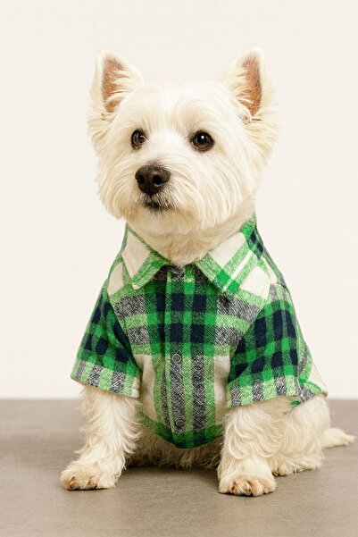 DOGİ&DOG Small Breed Green Lumberjack Shirt Dog Outfit (1-10kg)