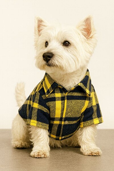 DOGİ&DOG Small Breed Yellow Winter Lumberjack Shirt Dog Clothing (1-10kg)
