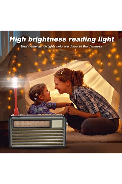 Generic Hi-Fi Retro Speaker with FM Radio, Bluetooth, USB/TF Playing, Remote Control, Rechargeable Battery,