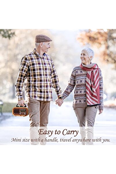 Generic Hi-Fi Retro Speaker with FM Radio, Bluetooth, USB/TF Playing, Remote Control, Rechargeable Battery,