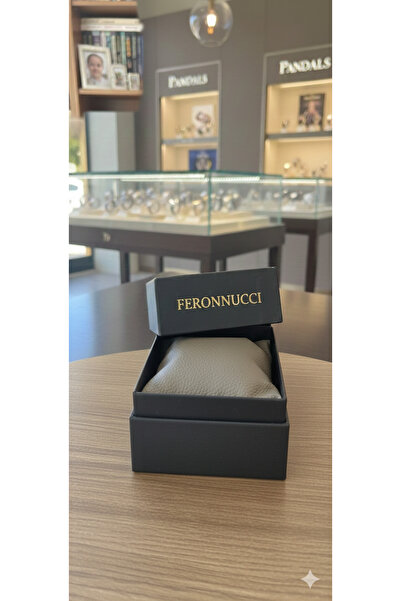 Feronnucci Erkek-Kadın Hediyelik Saat Kutusu Premium