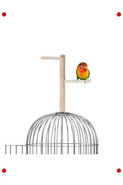 ulupazarlama Natural Tree Perch and Platform 23 cm