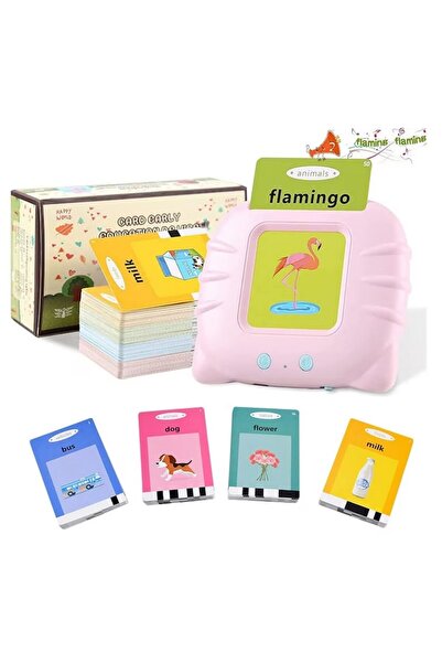 OEM educational toy for children with flash card reader 112 pieces and 224 words