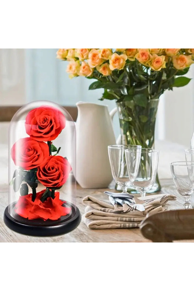 FOREVER ROSE Preserved Flower in Glass Dome – Red Medium Rose, Forever Enchanted Handmade Gift