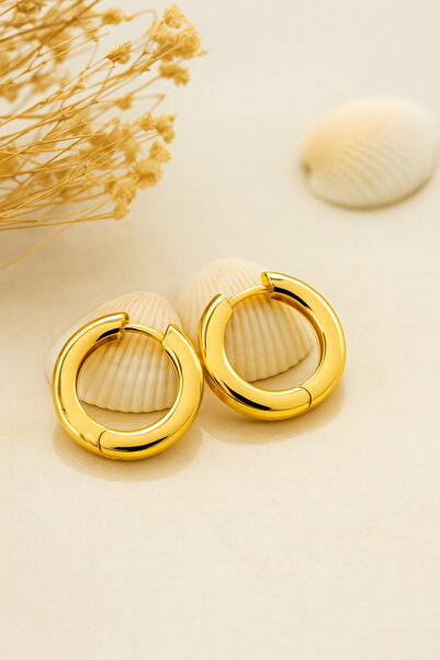 mischa jewelry Shiny Basic Hoop Earrings Gold/Silver