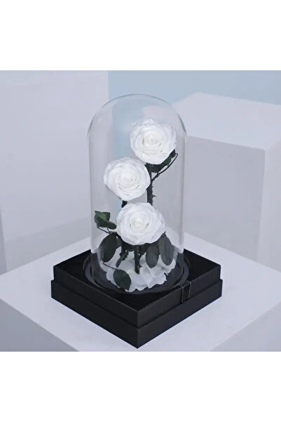 FOREVER ROSE in Glass Dome (White, Large) – Preserved 3 White Roses