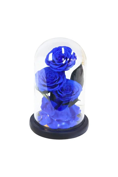 FOREVER ROSE Blue Roses in Glass Dome – Medium, 3 Eternal Roses, Gift