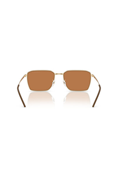 Emporio Armani Male Round sunglasses- EA 2172D - lense size:60mm - Shiny pale gold