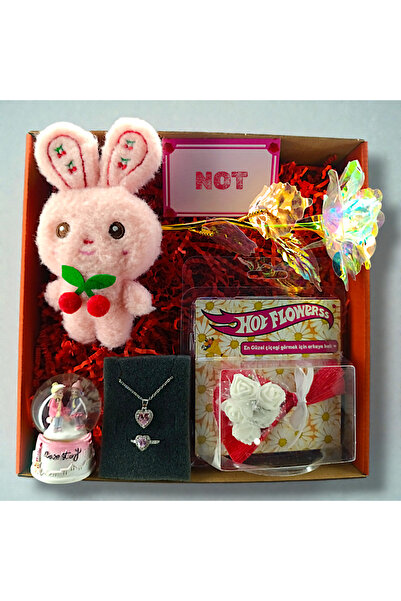 İNCİ sepette Hediye kutusu karışık gül,kolye yüzük, çiçek, kar küresi, peluş,...