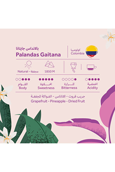 chemex co Prehant Roastery - Colombian Blendas Gaetania Roasted Coffee 250g
