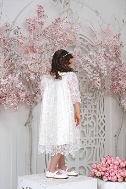 PİXİNADELUXE Peter Pan collar Super and Tulle Detailed Dress