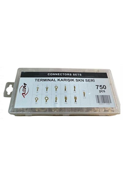 AEM TERMINAL KARIŞIK SKN SERİ SETİ (750pcs)