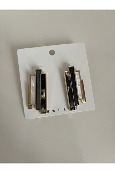 thesecret desire Geometric Bar Stone Earrings – Modern Women's Earrings with ...